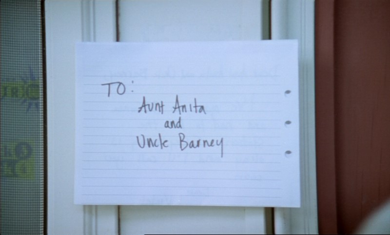 The Brown Bunny Blu-ray - Vincent Gallo